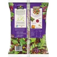 Ensalada Gourmet Brotes FLORETTE, bolsa 100 g