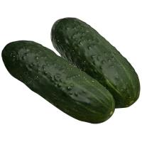 Pepino negro, al peso, compra mínima 560 g