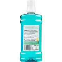 Enjuague bucal frescor verde EROSKI BASIC, botella 500 ml